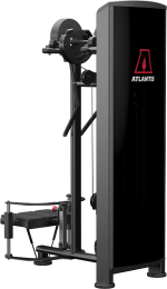 Atlantis Precision Standing Lateral Raise